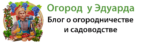 Огород у Эдуарда