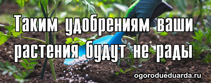 Удобрения для растений